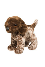 Ivan (German Pointer)