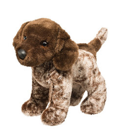 Ivan (German Pointer)