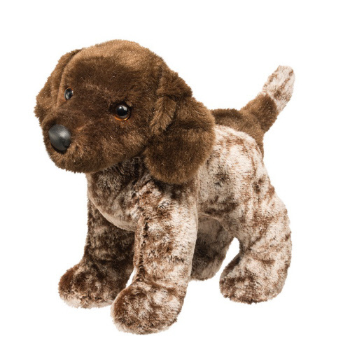 Ivan (German Pointer)