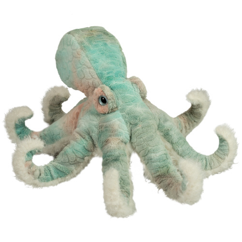 Winona - Octopus