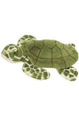 Toti - Turtle