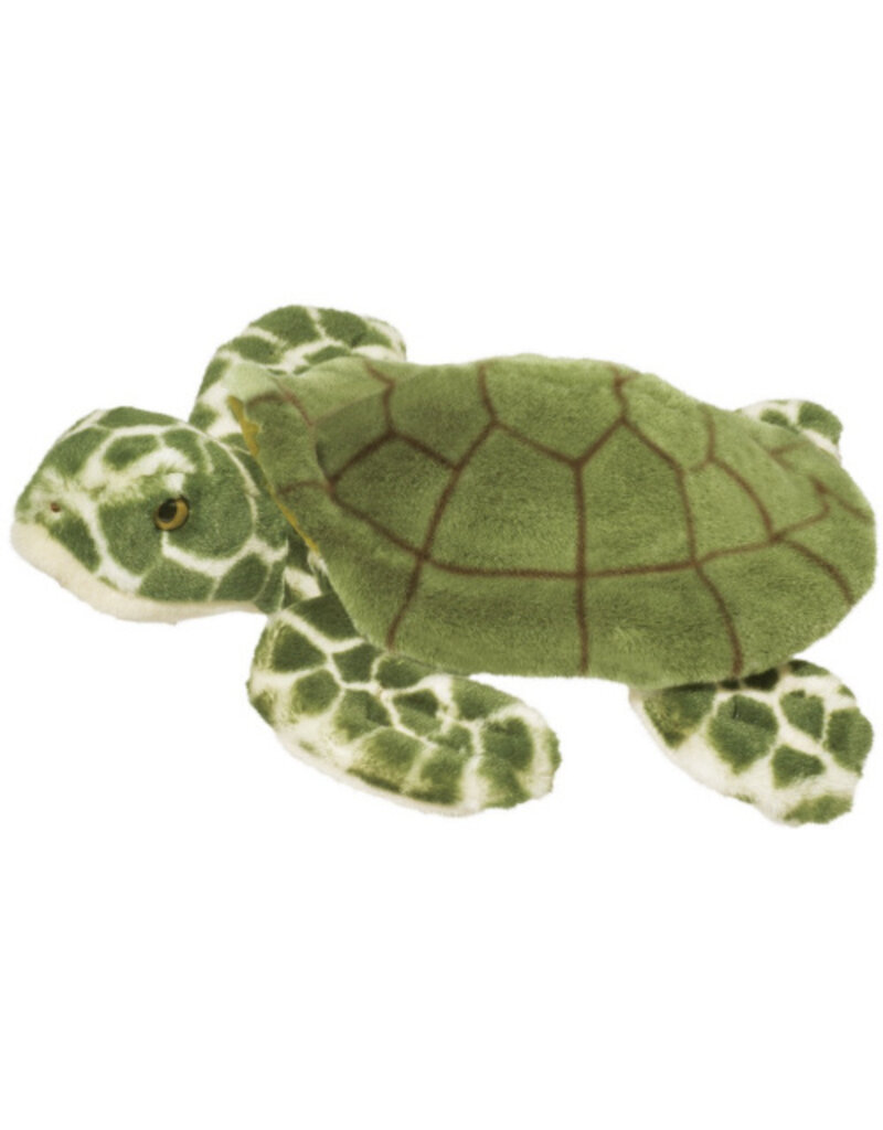 Toti - Turtle