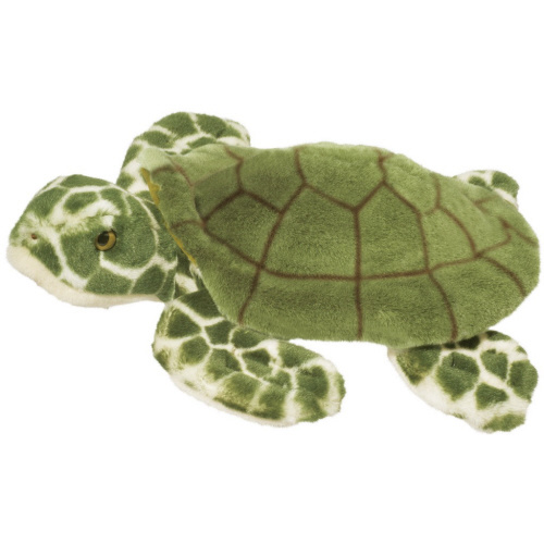 Toti - Turtle