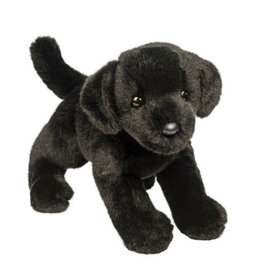 Brewster Black Lab