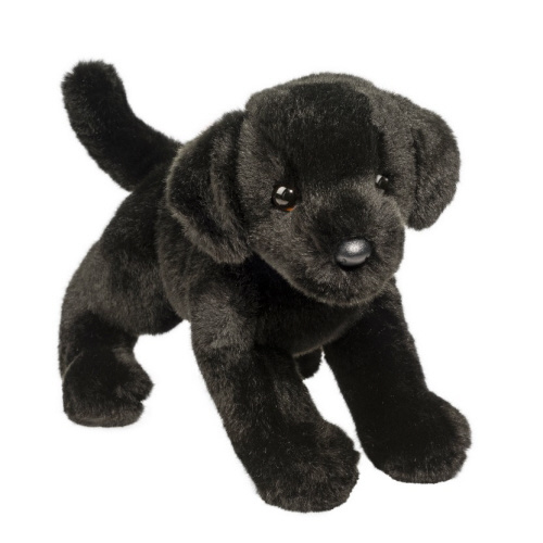 Brewster Black Lab