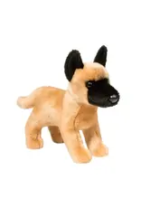 Klaus Belgian Malinois Dog