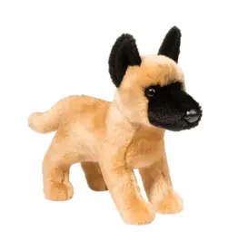 Klaus Belgian Malinois Dog