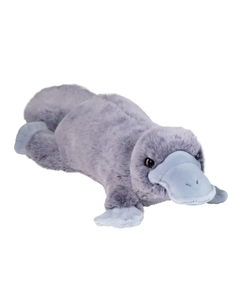 Allie Platypus
