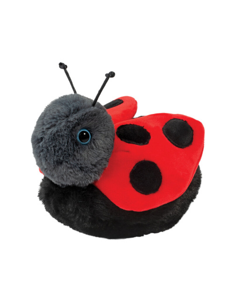 Bert - Ladybug
