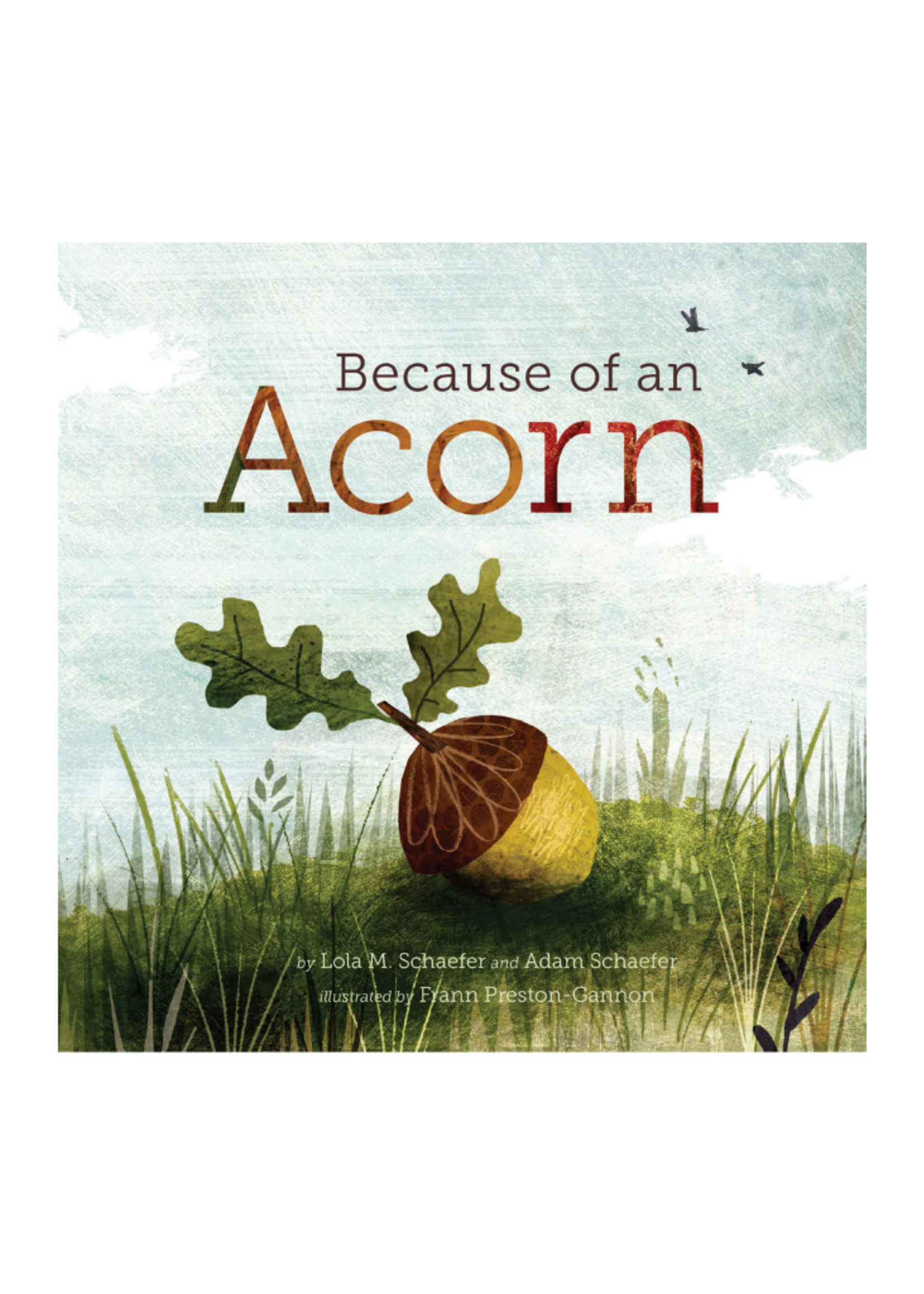 Chronicles Because of an Acorn by Lola M. Schaefer & Adam Schaefer