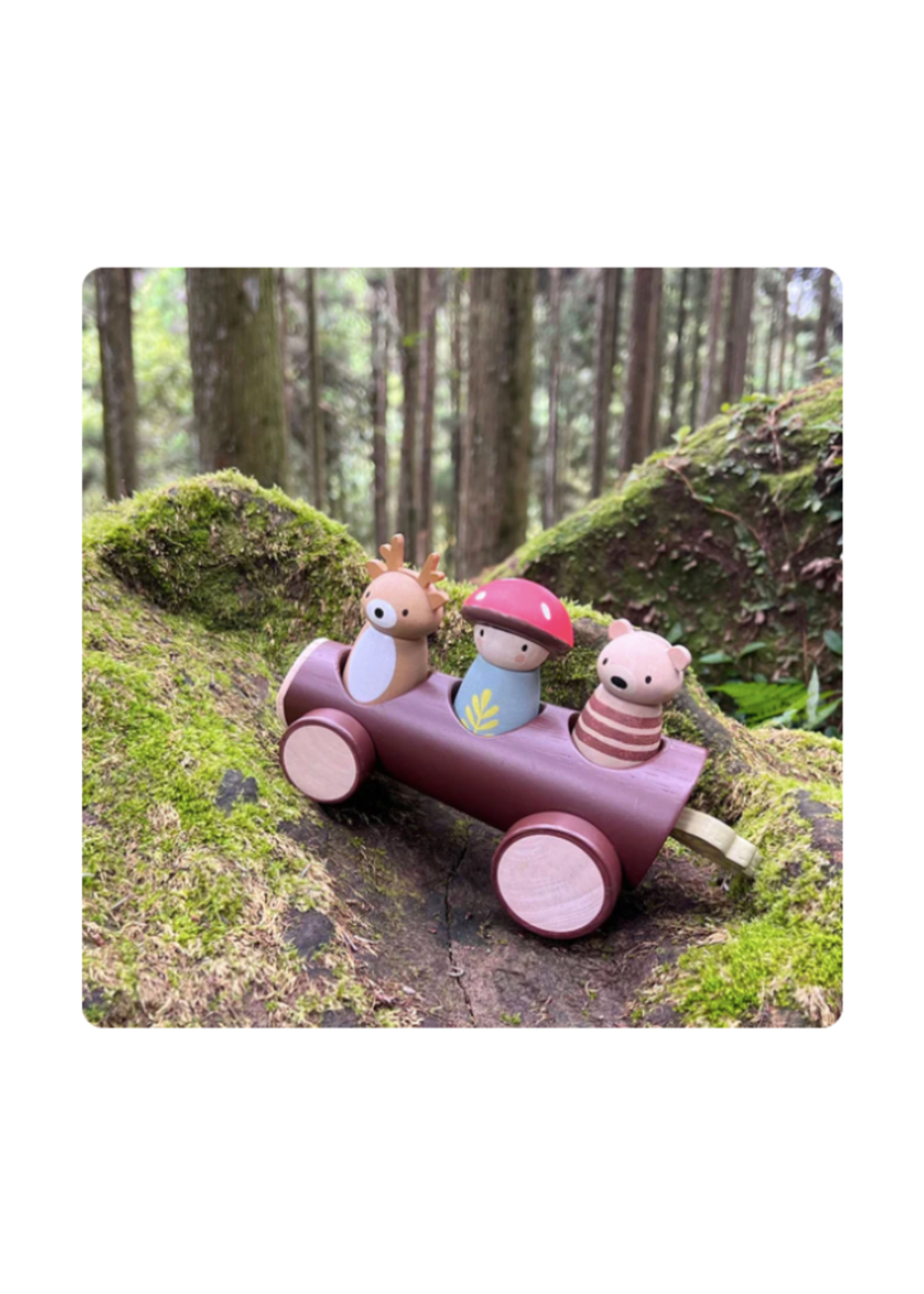 Tender Leaf Timber Taxi