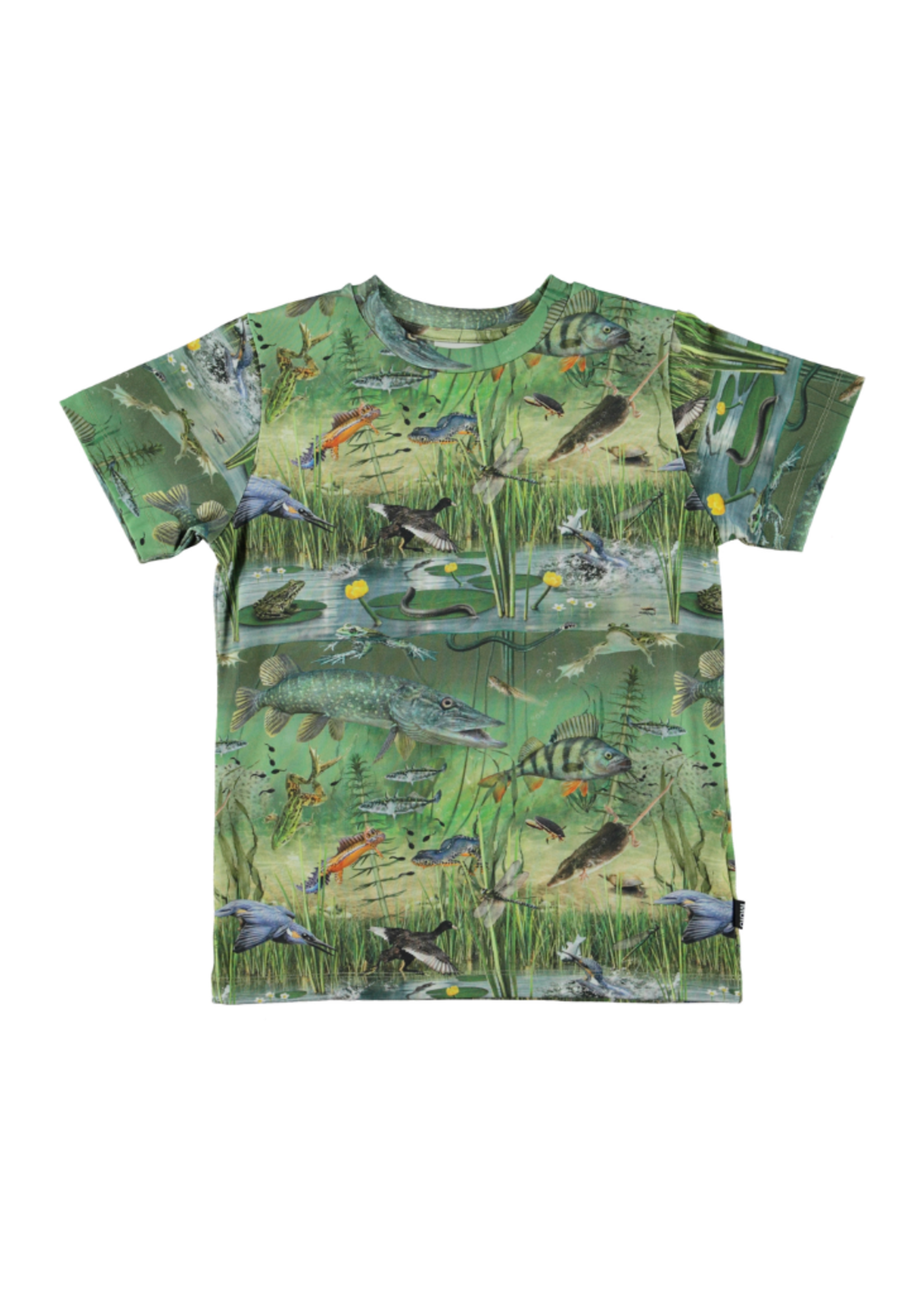 Ralphie Top