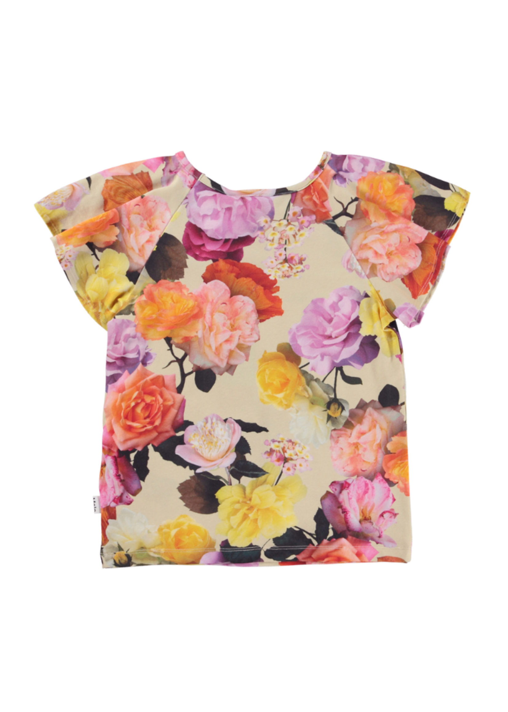 Rachel Top