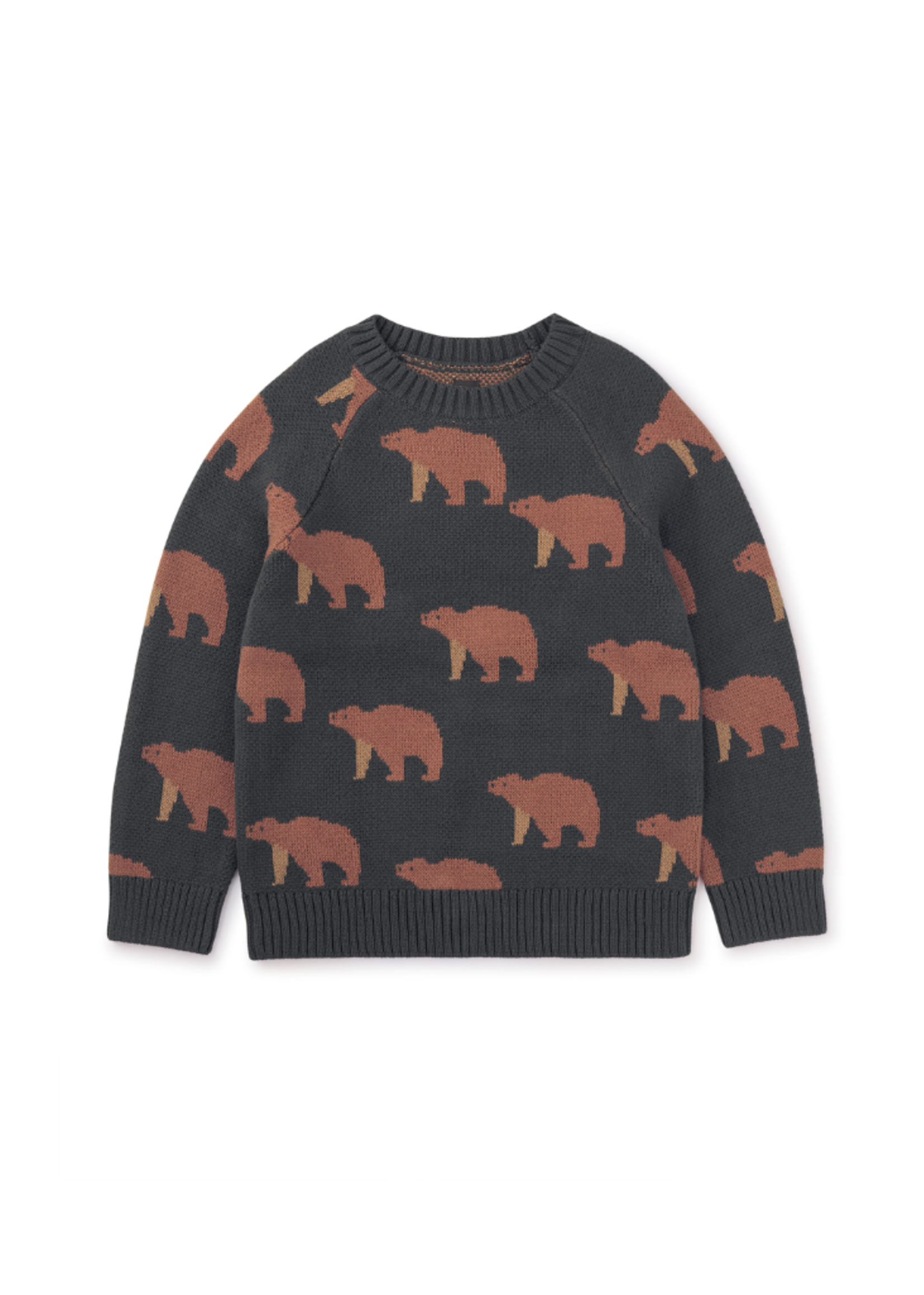 Tea Collection Brown Bears Sweater