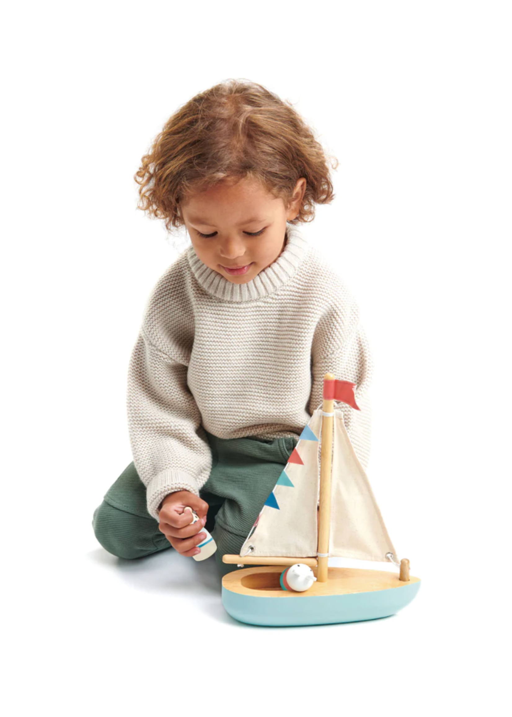 Tender Leaf Sailway Boat
