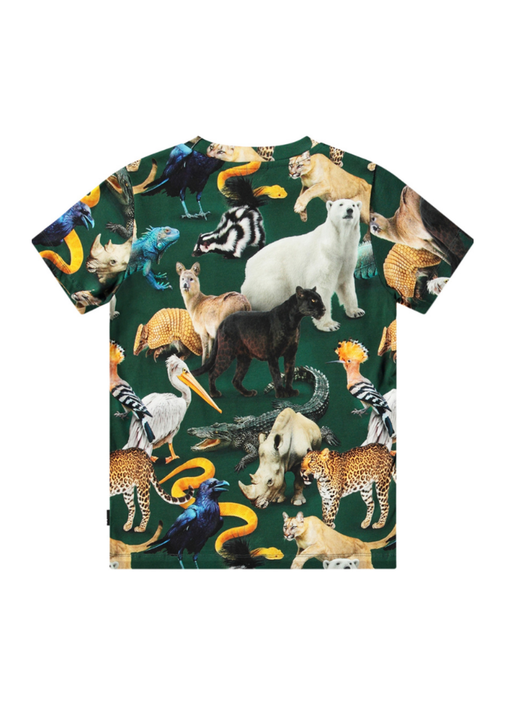 Ralphie Top
