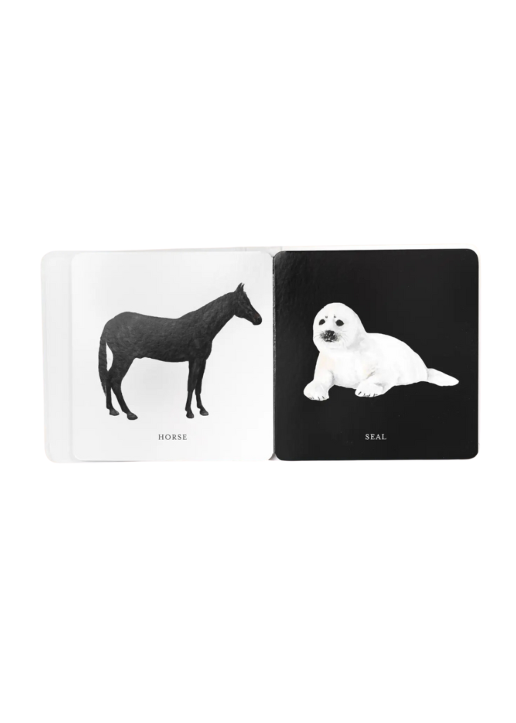 Paige Tate & Co. Baby's Tummy Time Book Box Set