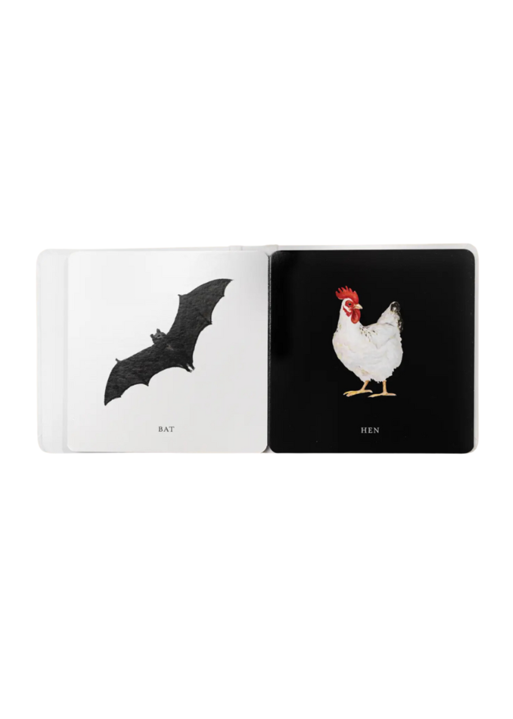 Paige Tate & Co. Baby's Tummy Time Book Box Set