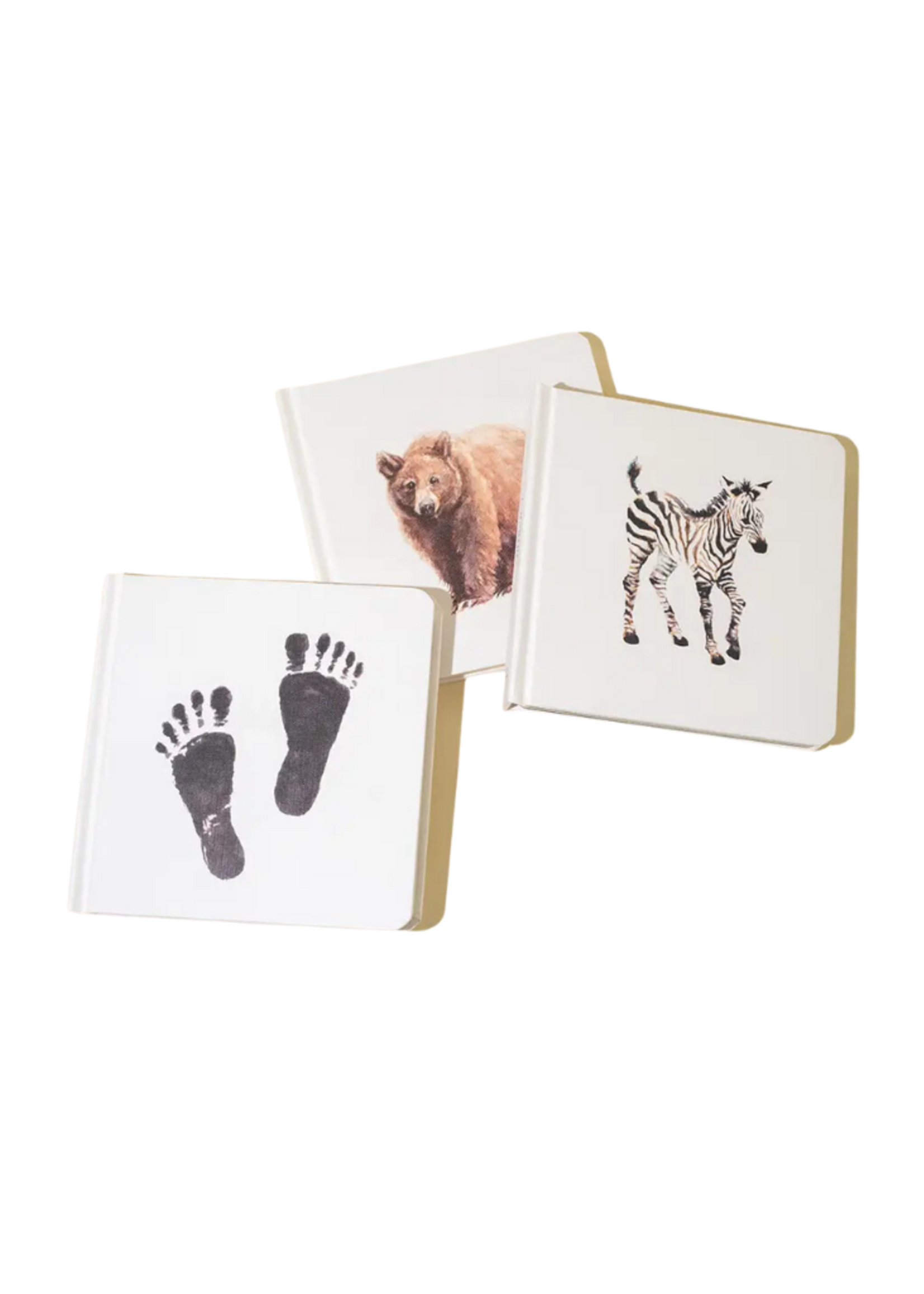 Paige Tate & Co. Baby's Tummy Time Book Box Set