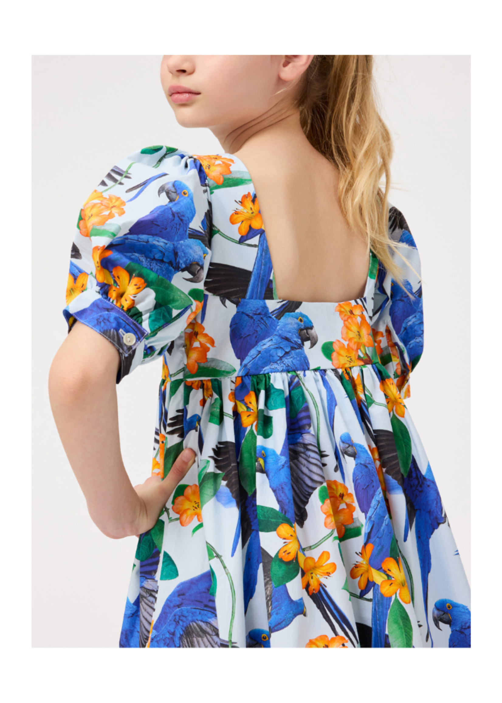 Camilo Dress