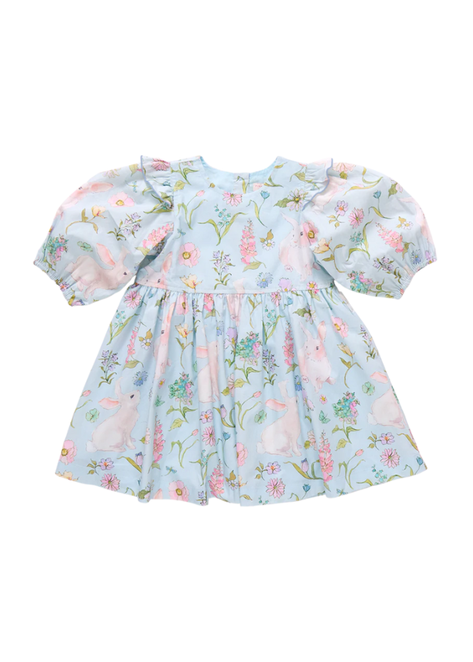 Pink Chicken Brooke Dress