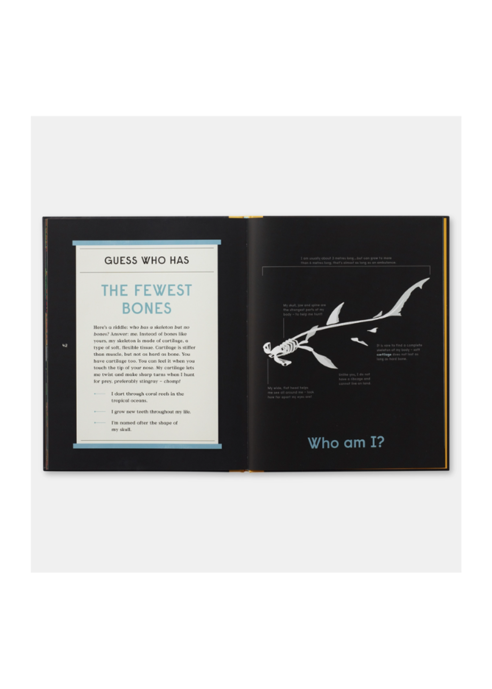 Phaidon Press Inc. Book Of Bones