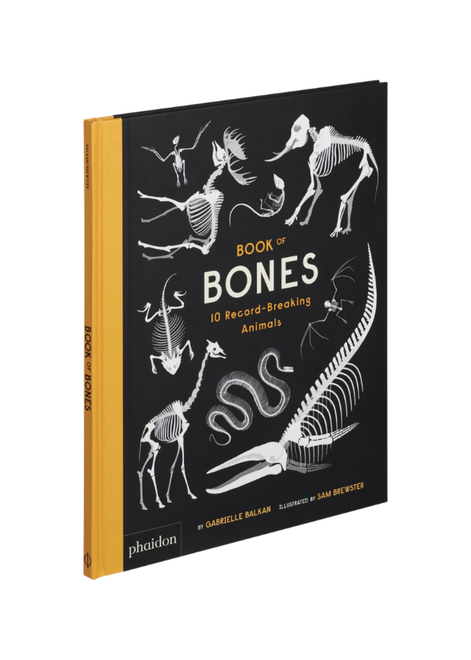 Phaidon Press Inc. Book Of Bones