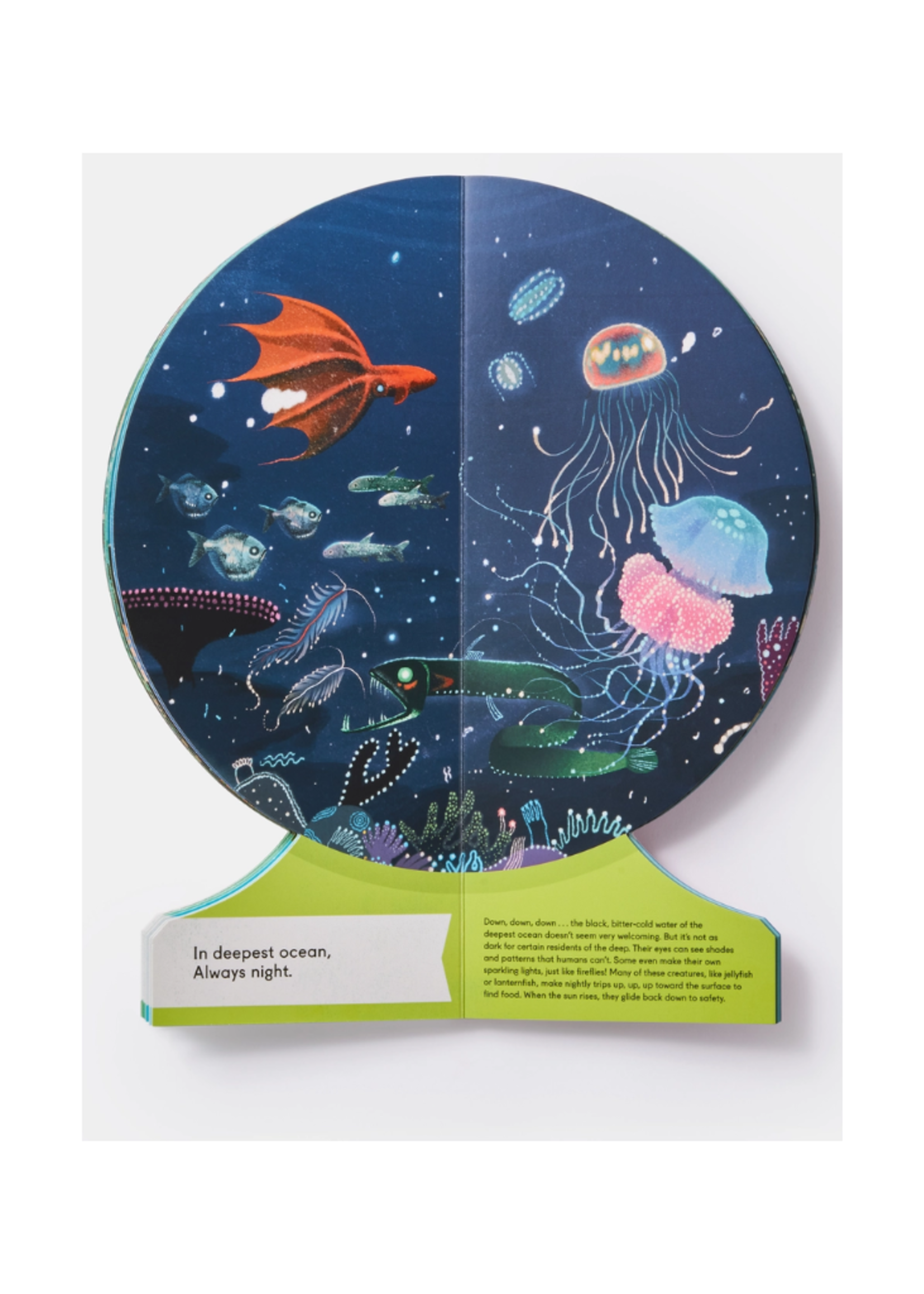 Phaidon Press Inc. Our Underwater World