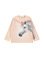 Mountoo Sweatshirt