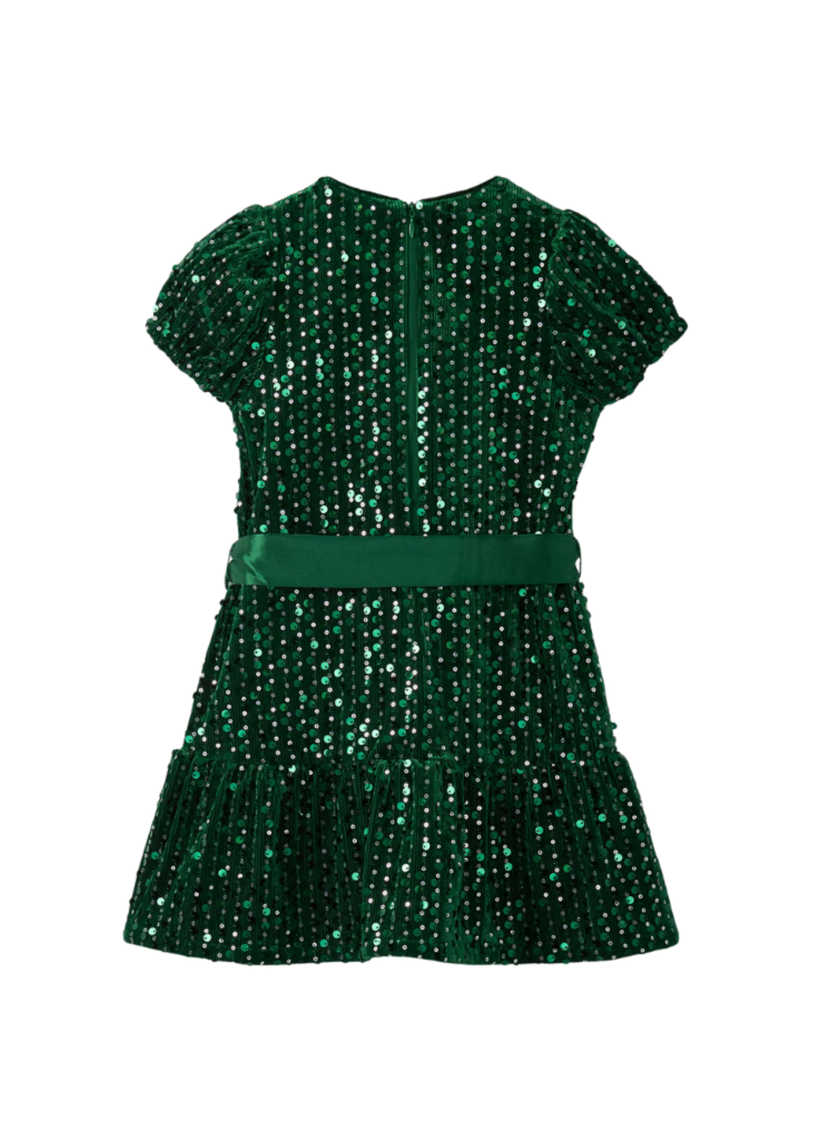 Hatley Green Sequins Velvet Dress