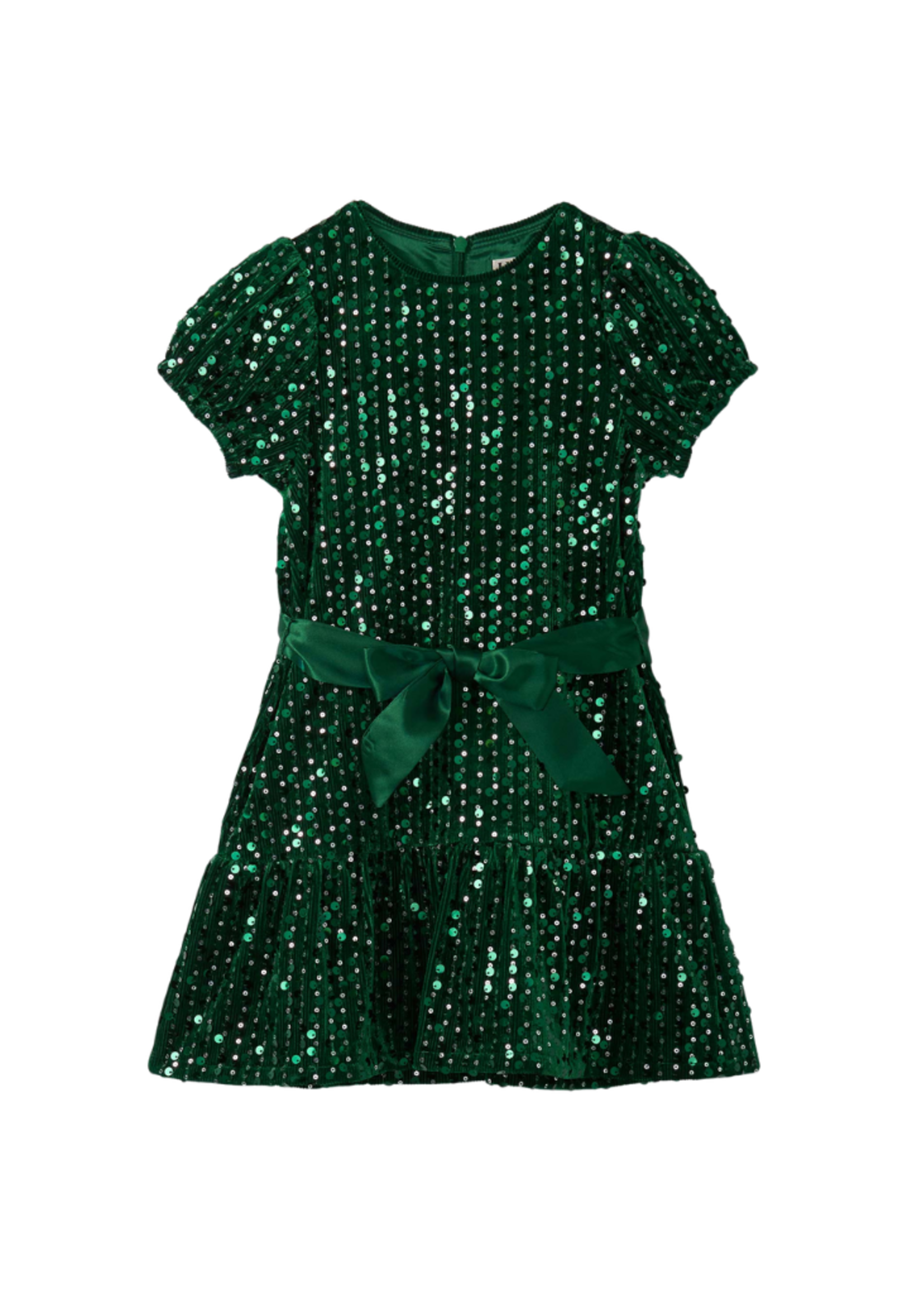Hatley Green Sequins Velvet Dress