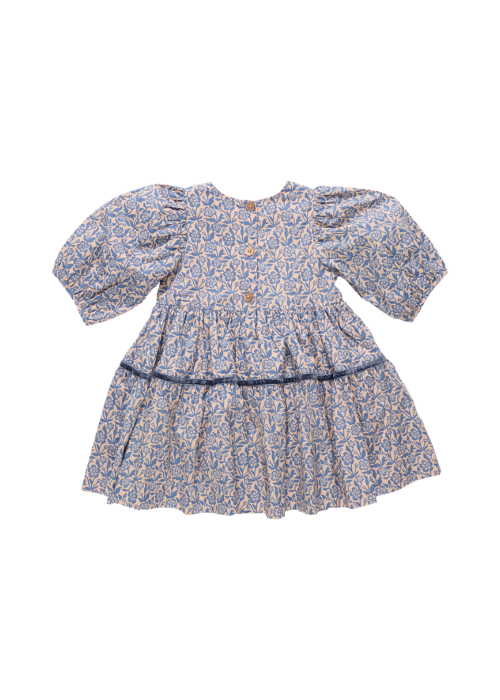 Pink Chicken Maribelle Dress