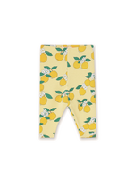 Tiny Cottons Oranges Rib Baby Pant