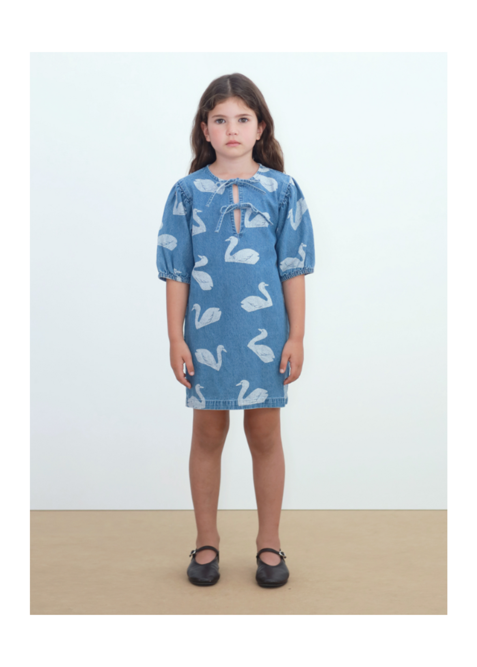 Tiny Cottons Big Swans Dress