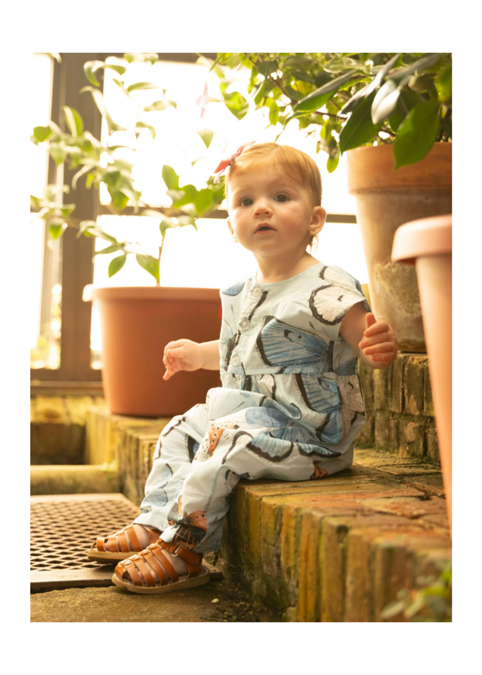 Pink Chicken Alexandra Jumper