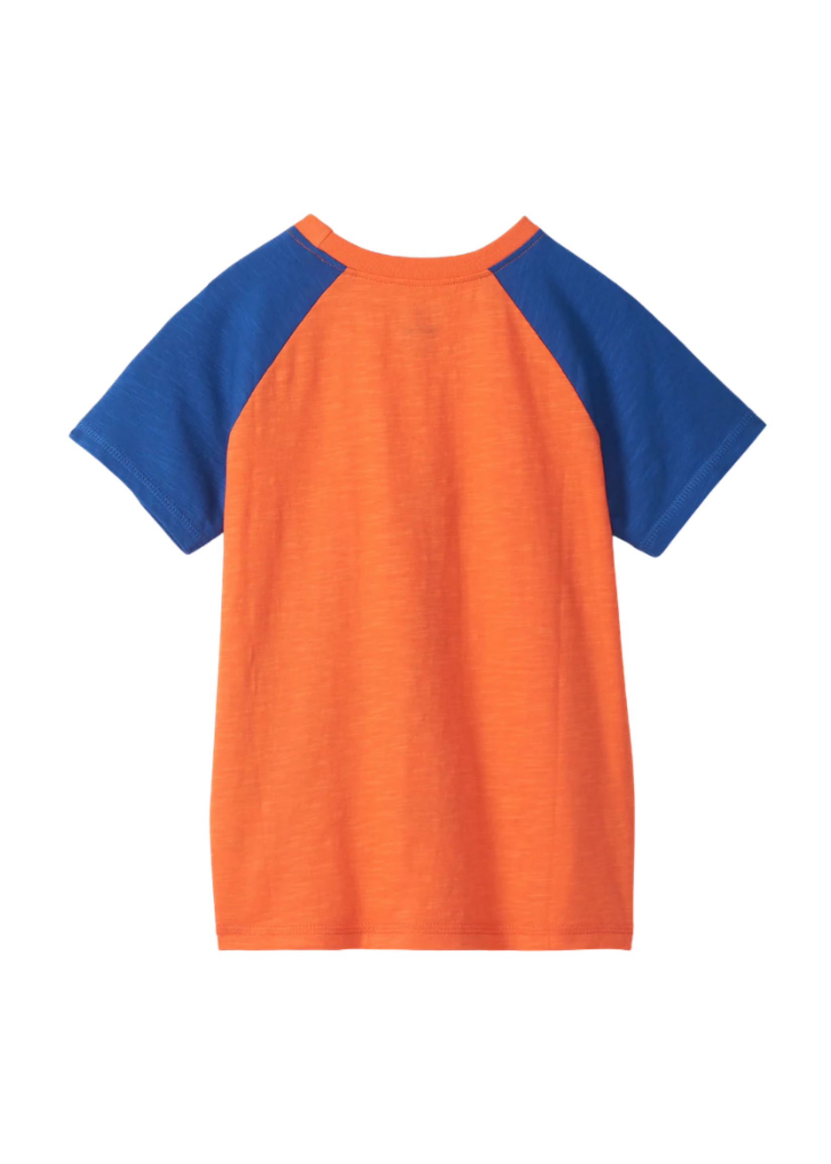 Hatley Dino Raglan Tee