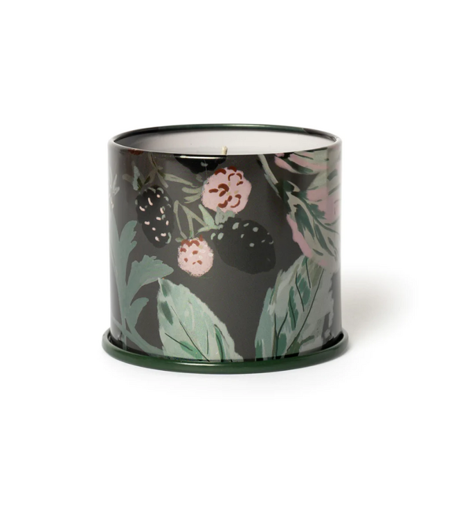 Illume Blackberry Absinthe Demi Vanity Tin Candle
