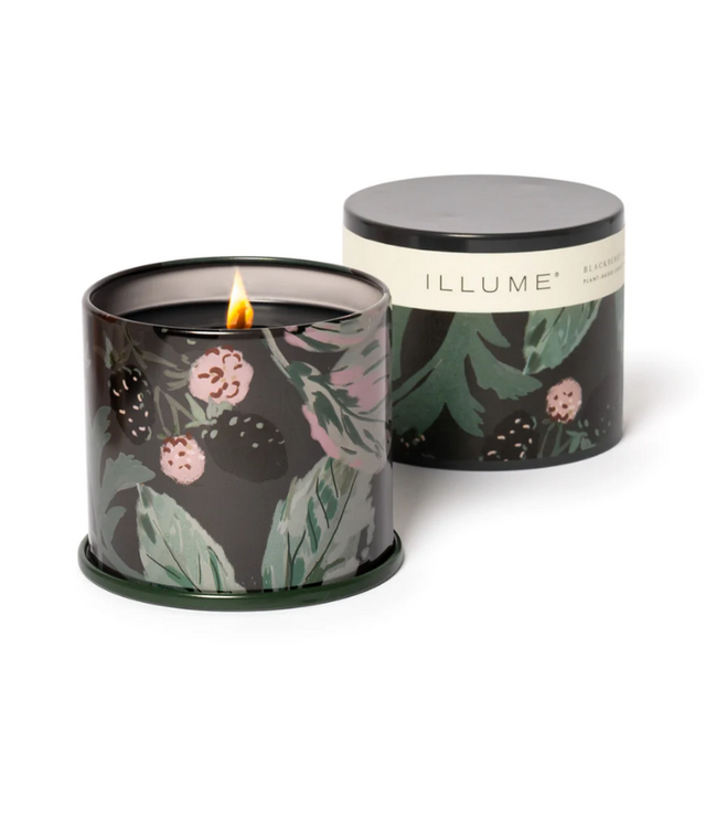 Illume Blackberry Absinthe Demi Vanity Tin Candle