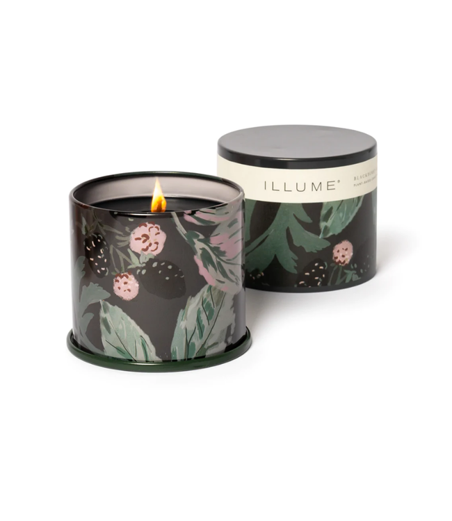 Illume Illume Blackberry Absinthe Demi Vanity Tin Candle