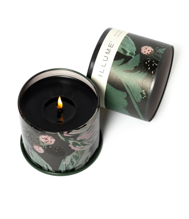 Illume Blackberry Absinthe Demi Vanity Tin Candle