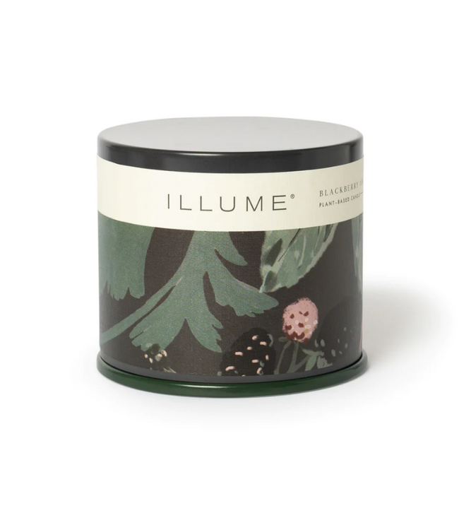 Illume Blackberry Absinthe Demi Vanity Tin Candle