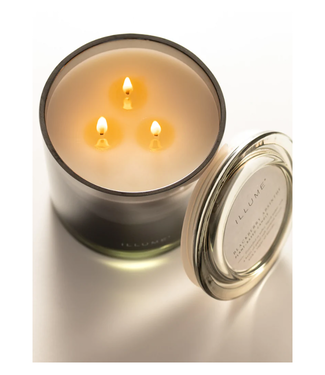 Illume Illume Blackberry Absinthe Statement Glass Candle