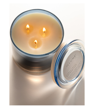 Illume Illume Citrus Crush Statement Glass Candle