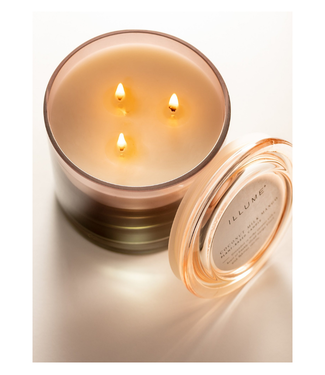 Illume Coconut Milk Mango Statement Glass Candle