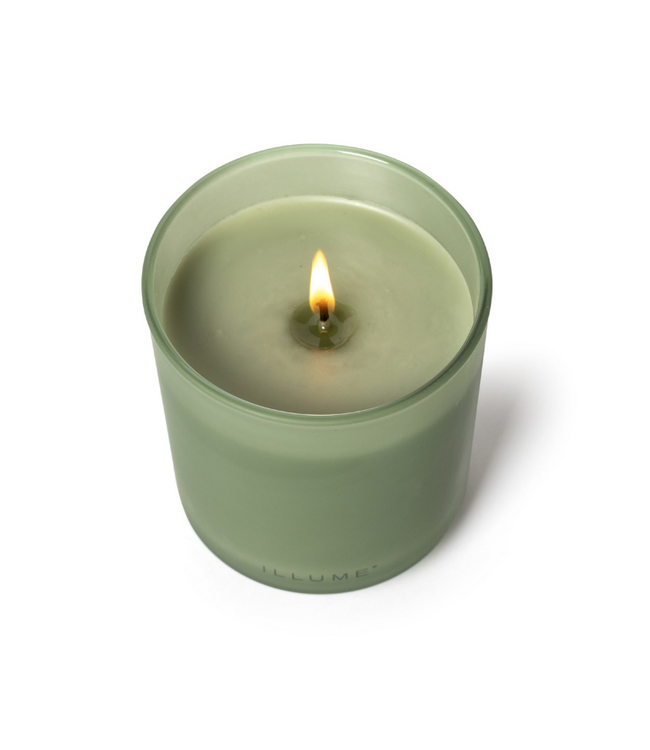 Illume Hinoki Sage Refillable Boxed Glass Candle