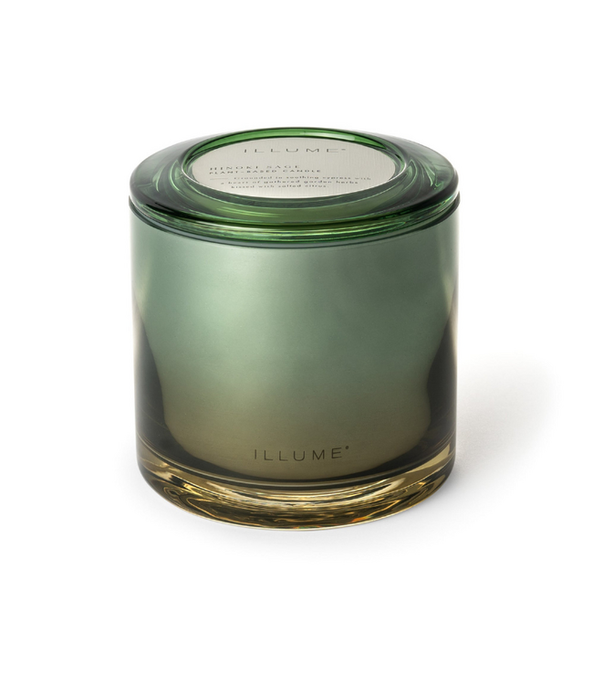 Illume Hinoki Sage Statement Glass Candle