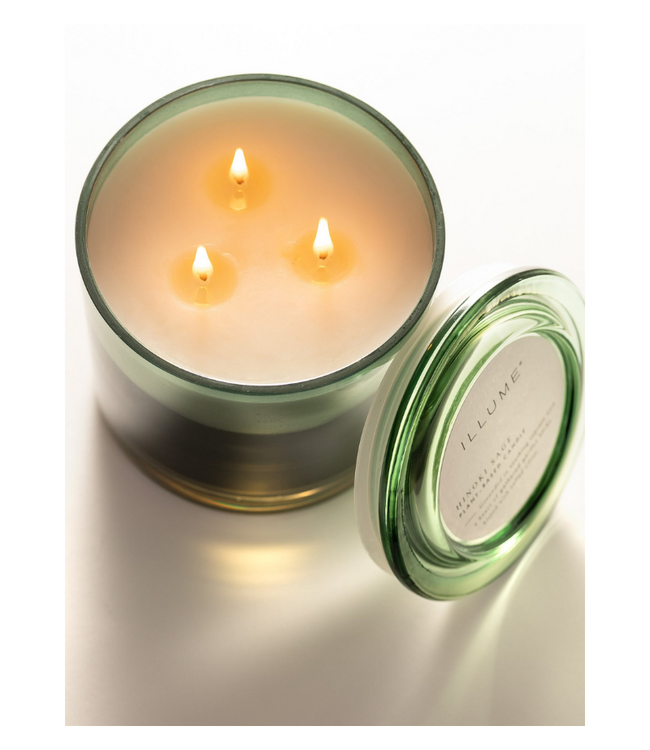 Illume Hinoki Sage Statement Glass Candle