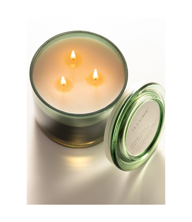 Illume Illume Hinoki Sage Statement Glass Candle