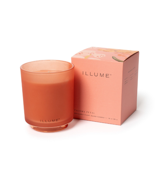 Illume Illume Paloma Petal Refillable Boxed Glass Candle