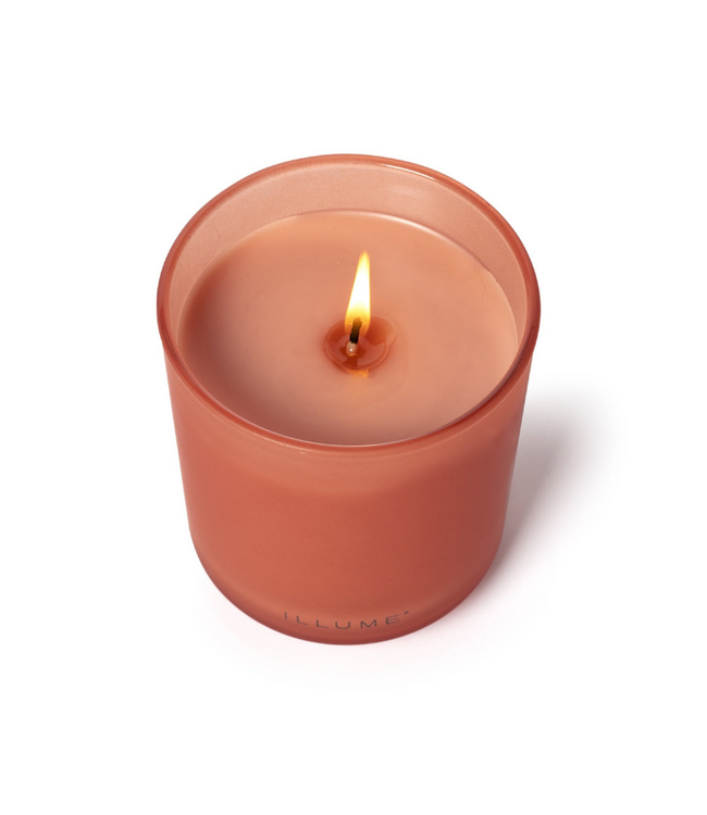 Illume Paloma Petal Refillable Boxed Glass Candle